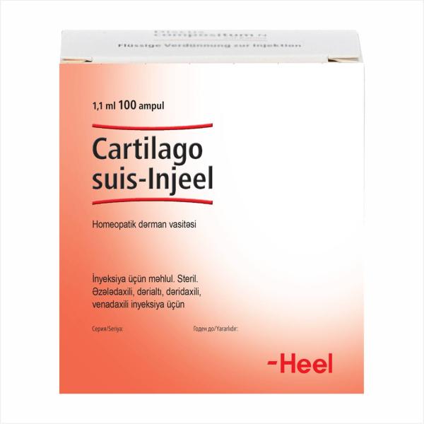 Cartilago suis-Injeel