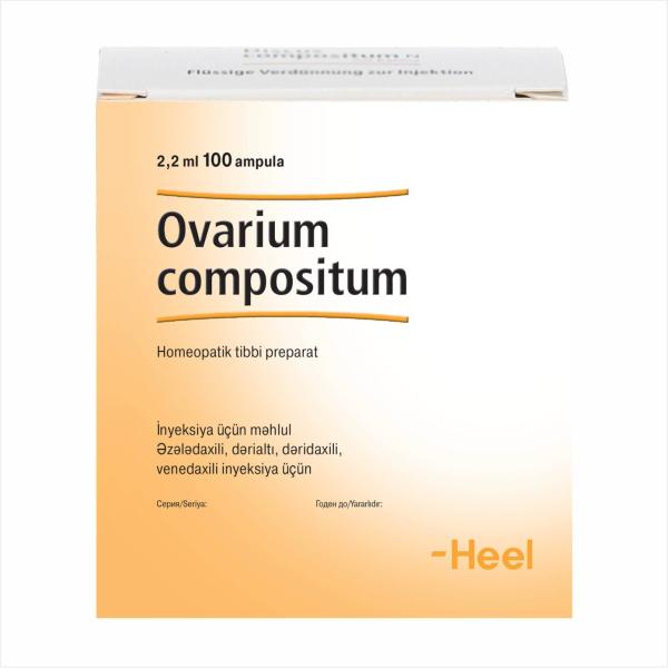 Ovarium compositum