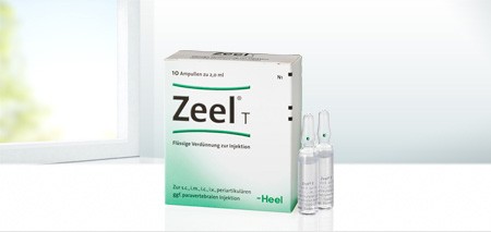 Zeel project
